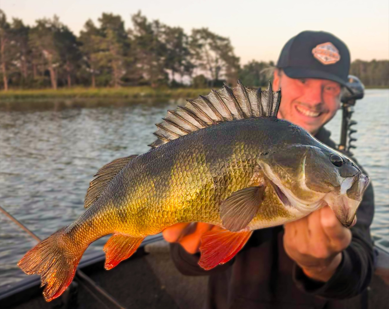 Noike Smokin Dad 8,9 cm